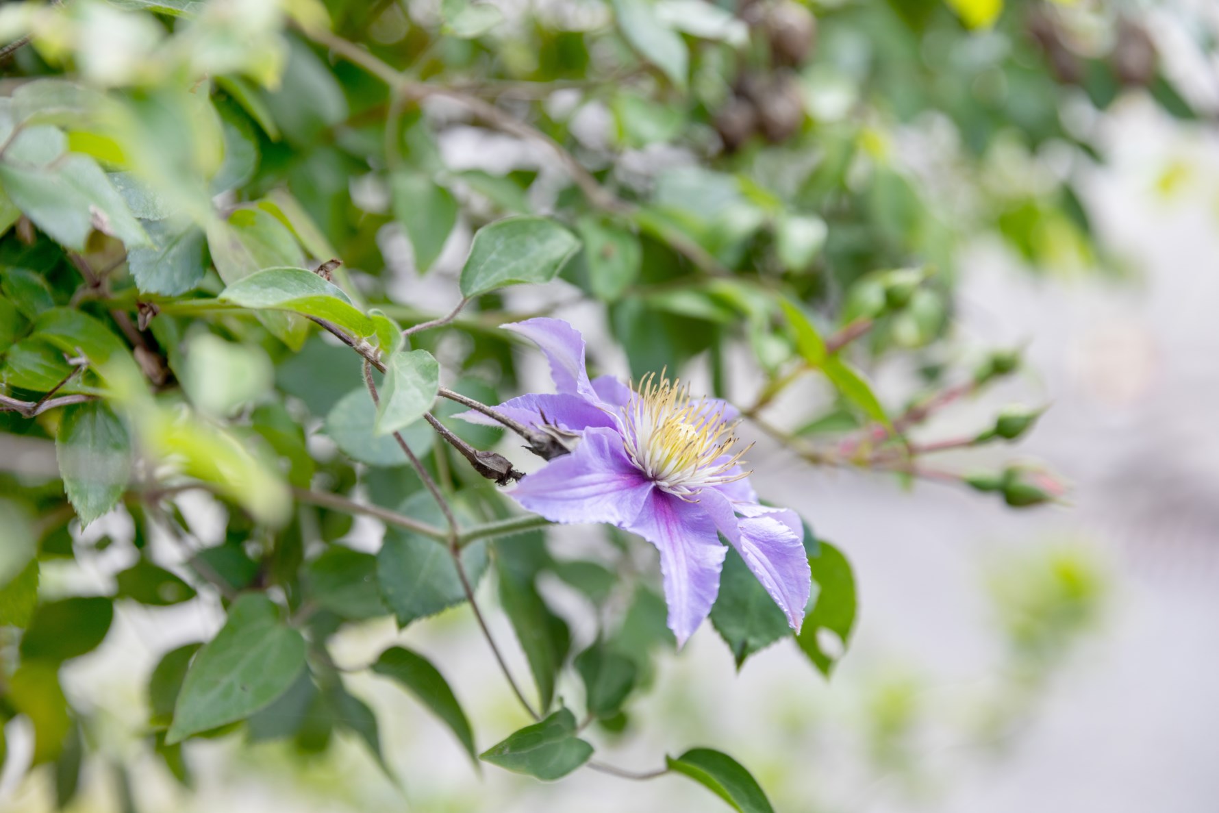 Bild 2 Åkereds skolväg 2C