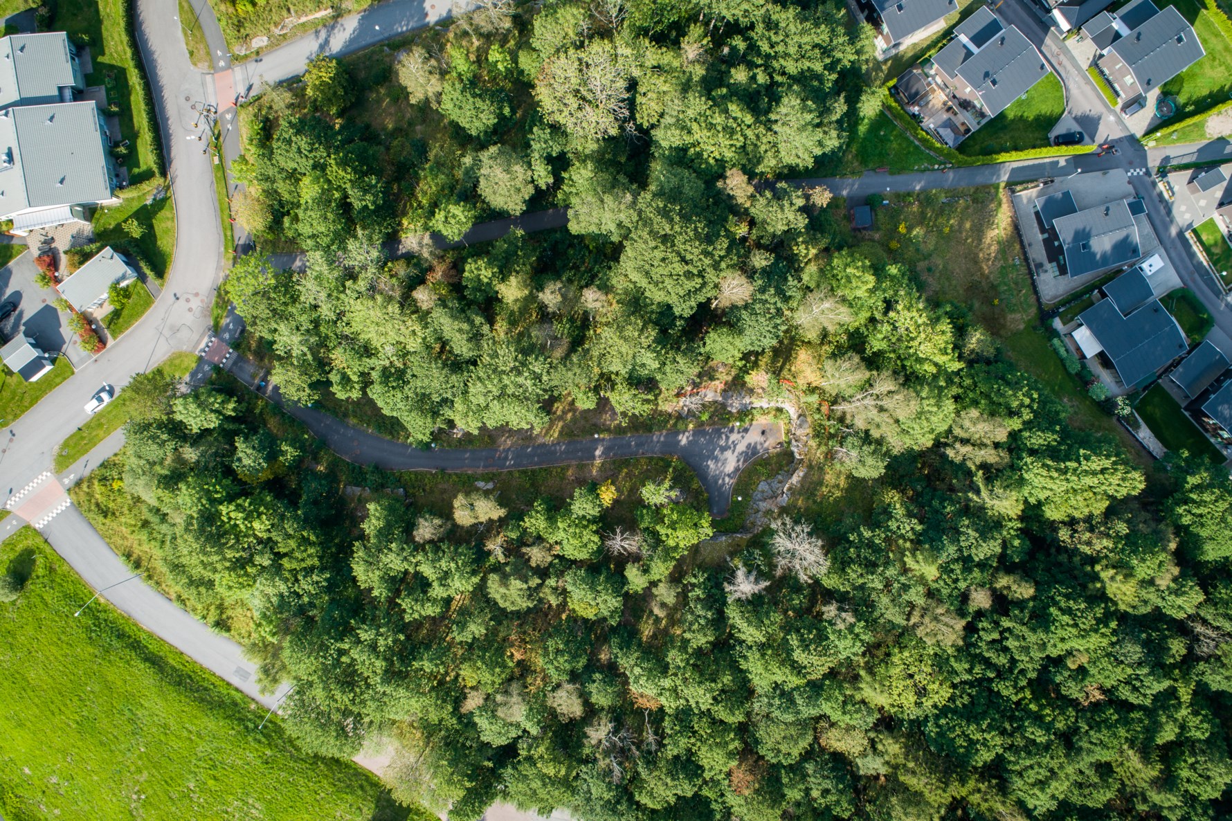 Bild 1 Trädgårdsbacken 3