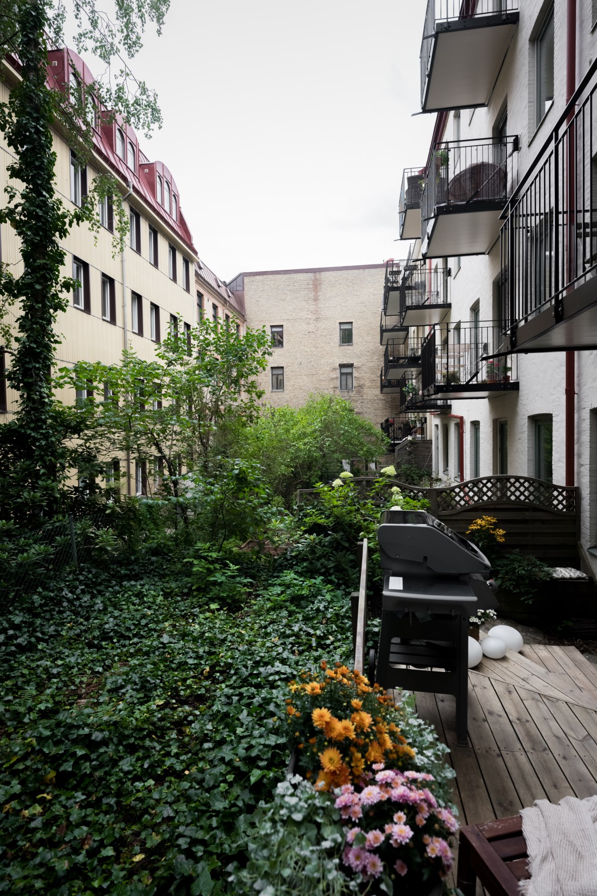 Bild 5 Nedre Fogelbergsgatan 7B