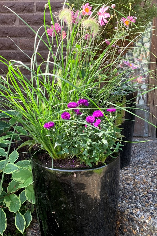 Bild 3 Skäddegatan 21