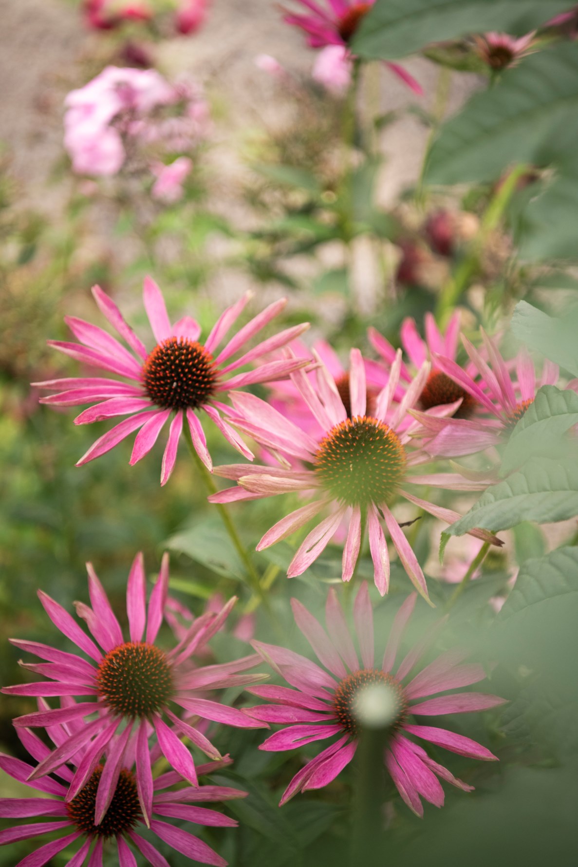 Bild 3 Aprilgatan 14G