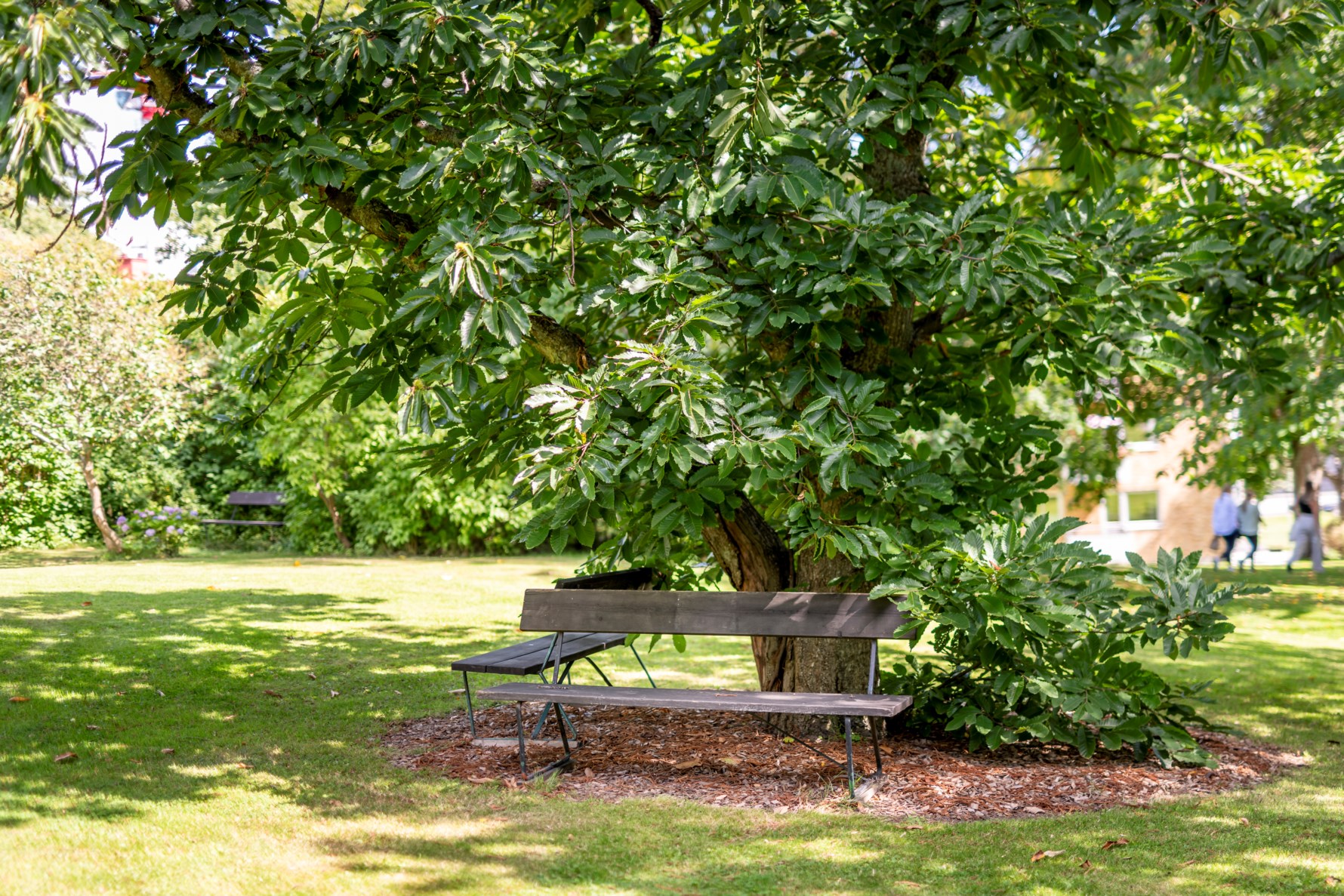 Bild 4 Fredriksdalsgatan 10A