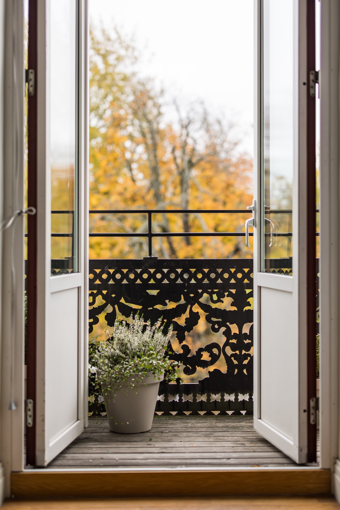 Bild 6 Stora Nygatan 9