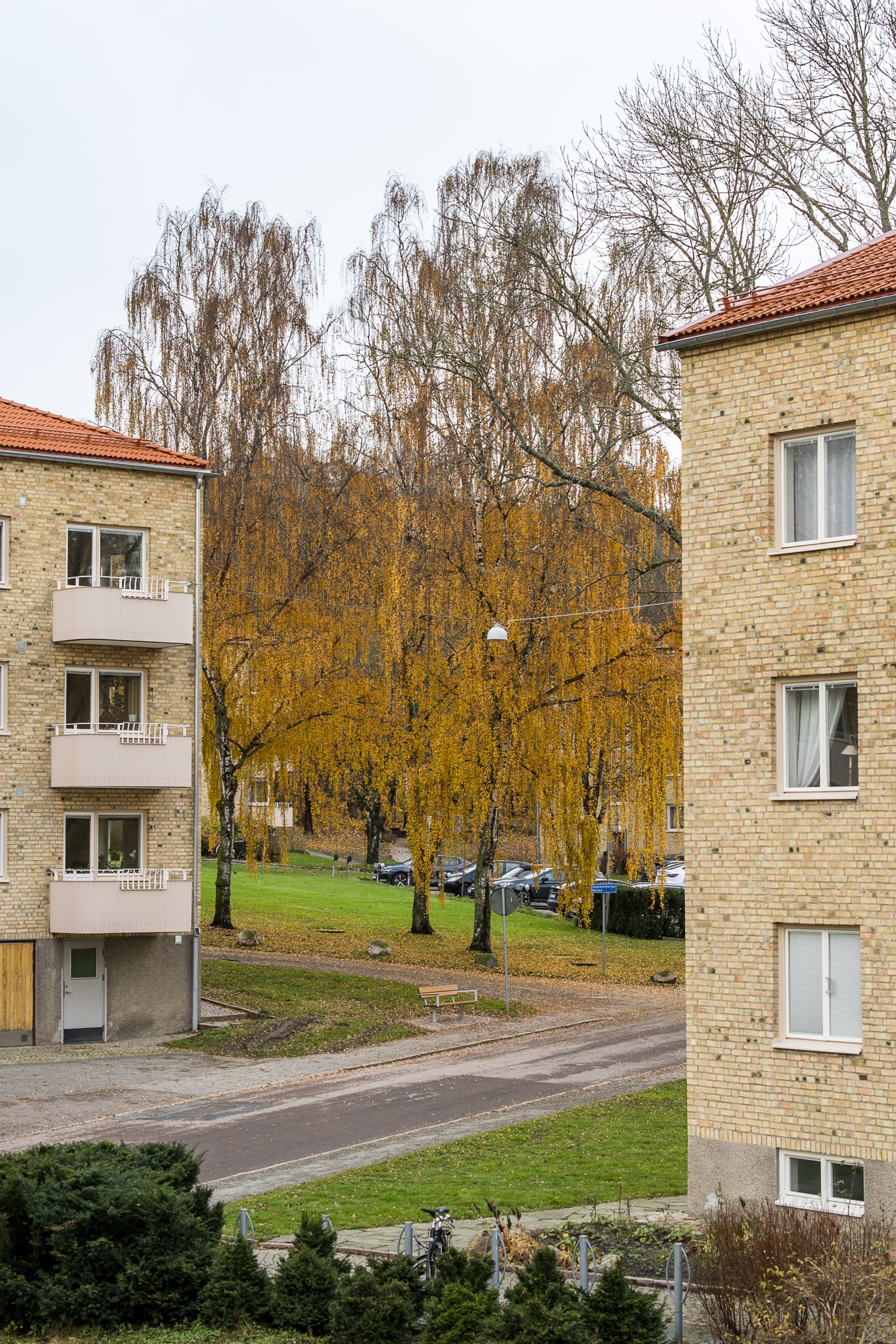 Bild 6 Iskällareliden 9A