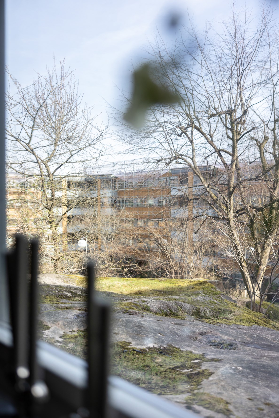 Bild 3 Skepparegången 16