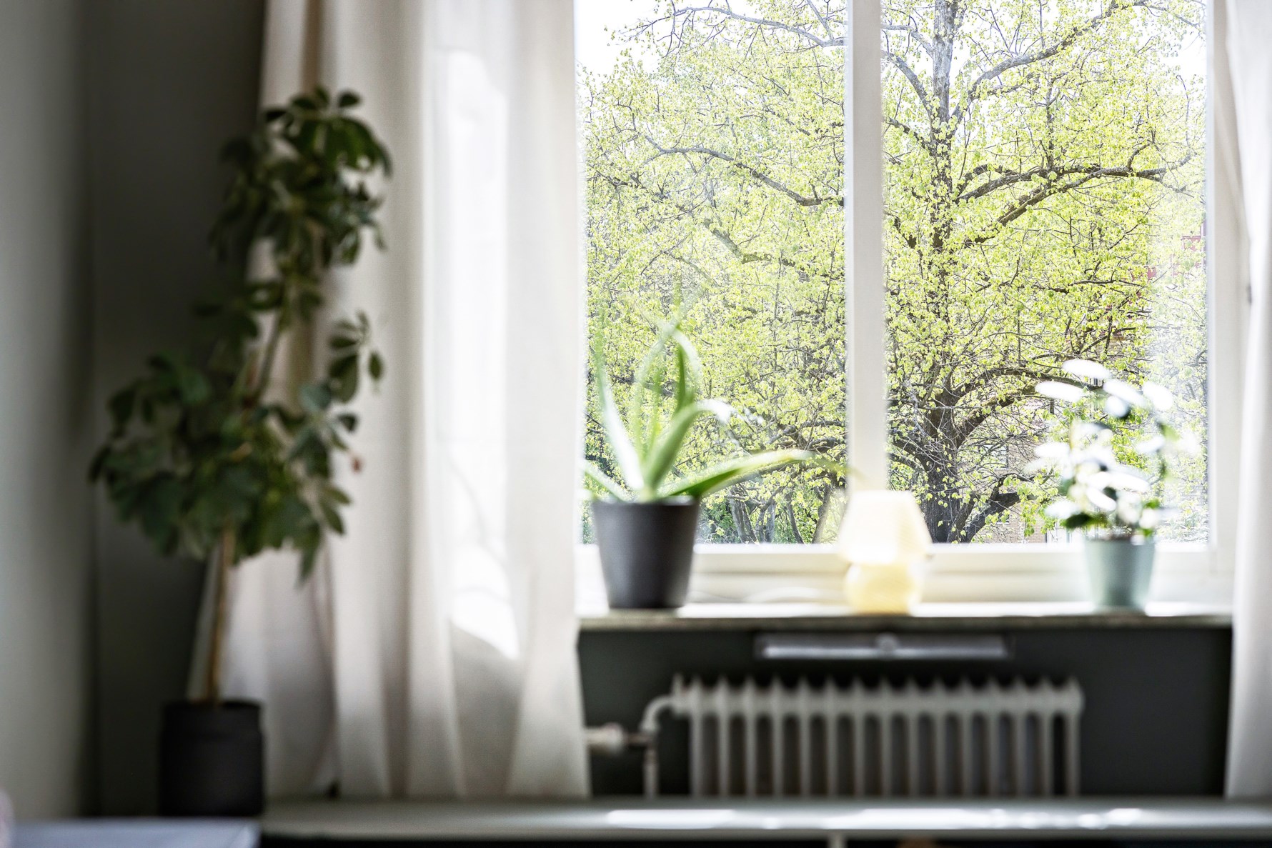 Bild 4 Fredriksdalsgatan 10A