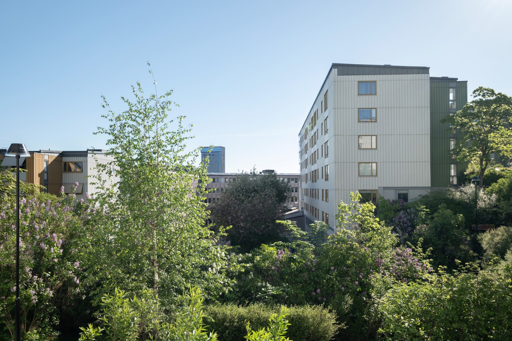 Bild 5 Skepparegången 28