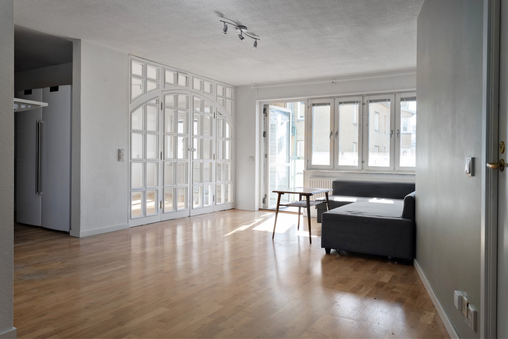 Bild 2 Adler salvius gata 7