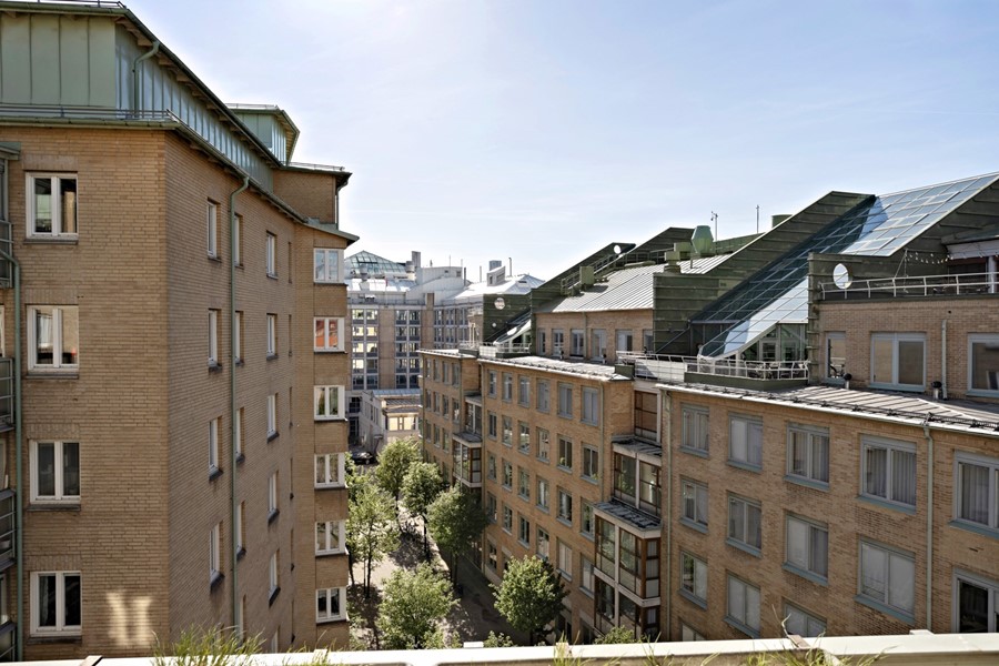 Bild 5 Adler salvius gata 7