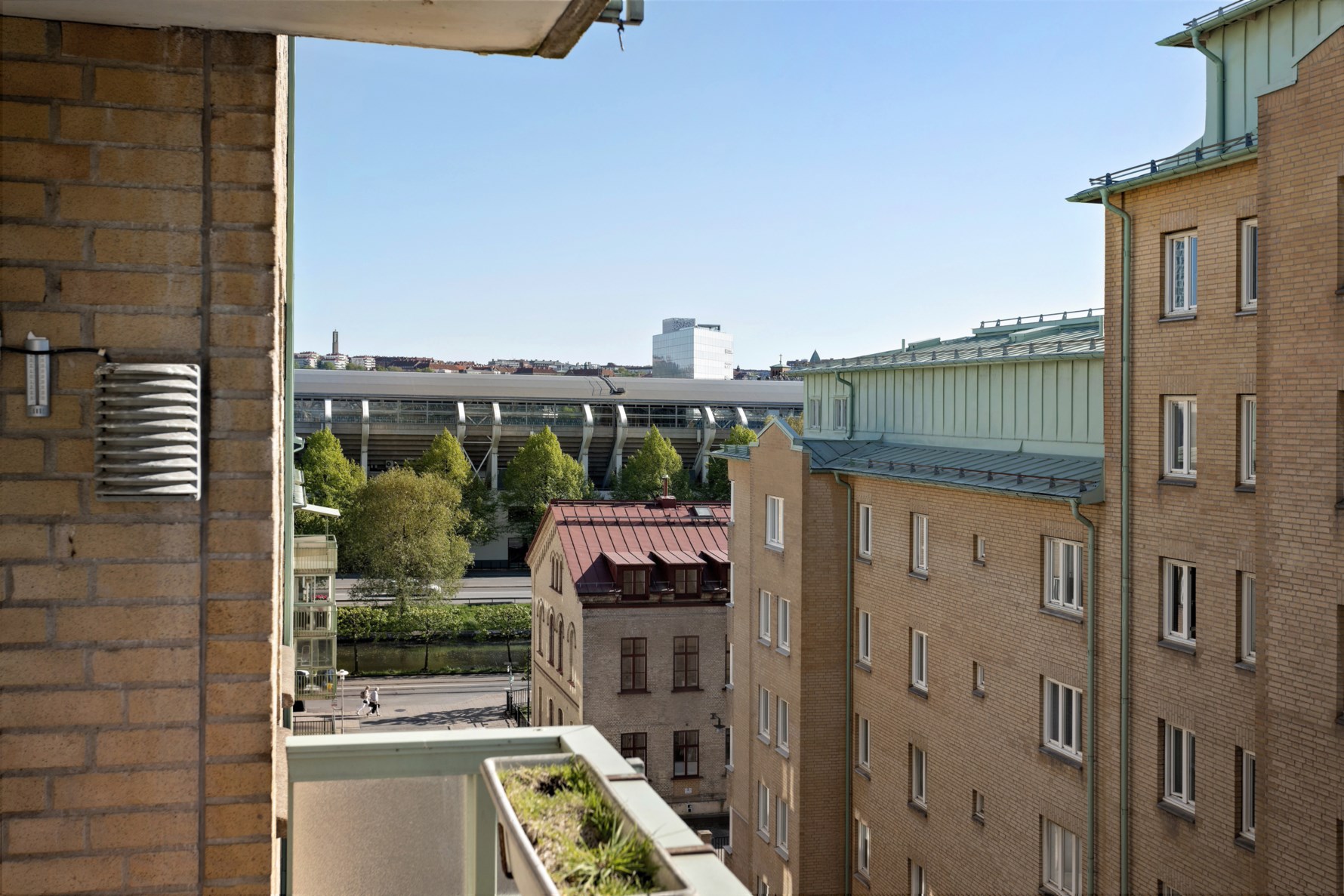 Bild 4 Adler salvius gata 7