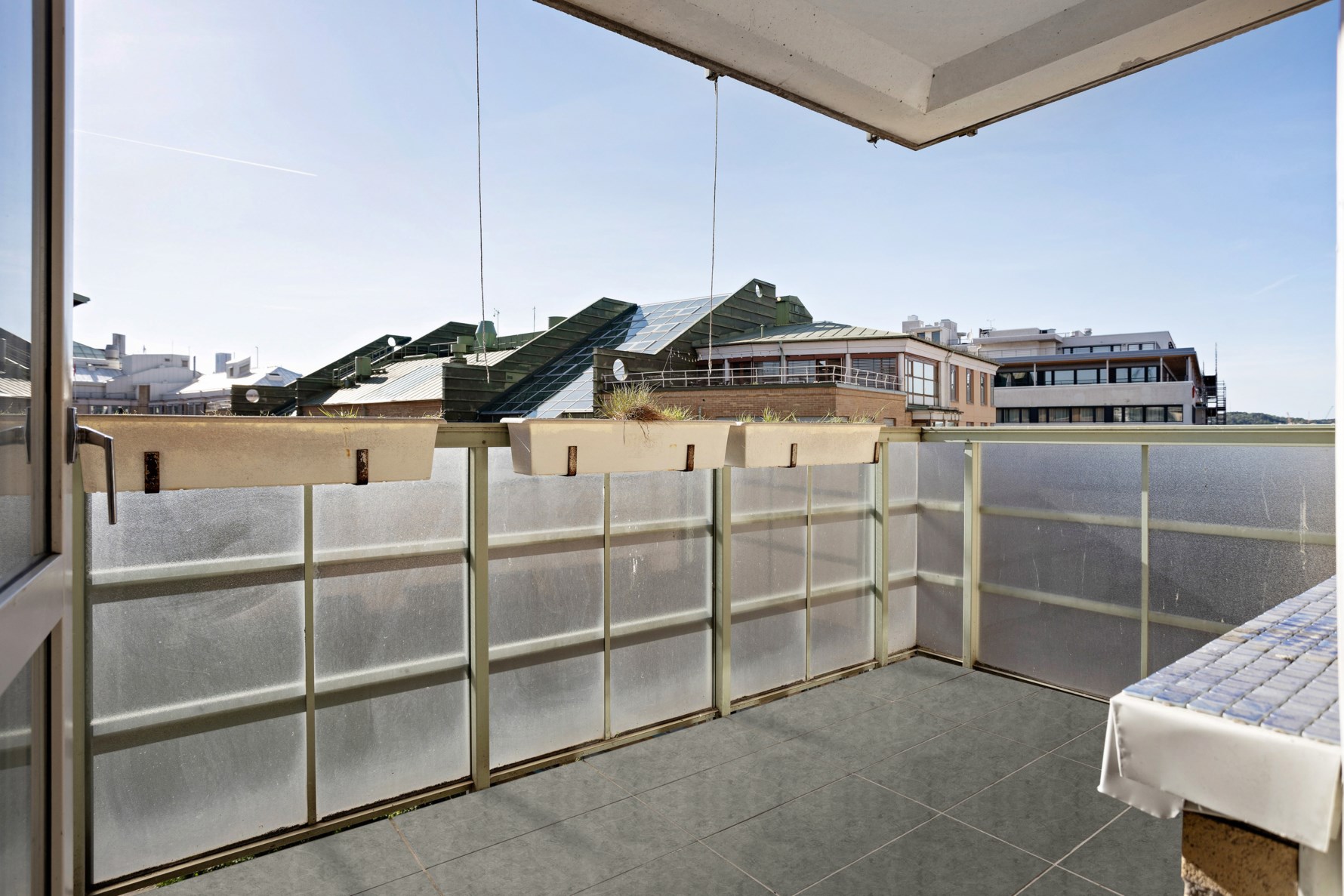 Bild 3 Adler salvius gata 7