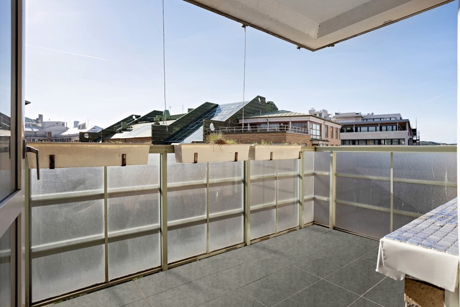 Bild 3 Adler salvius gata 7