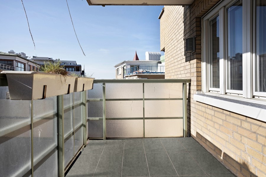 Bild 6 Adler salvius gata 7