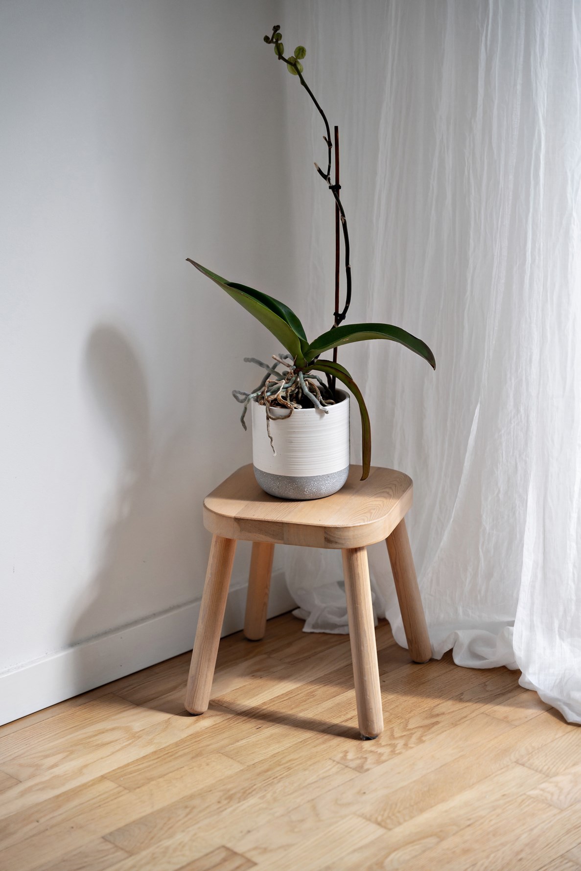 Bild 5 Kvarngärdesgatan 3A