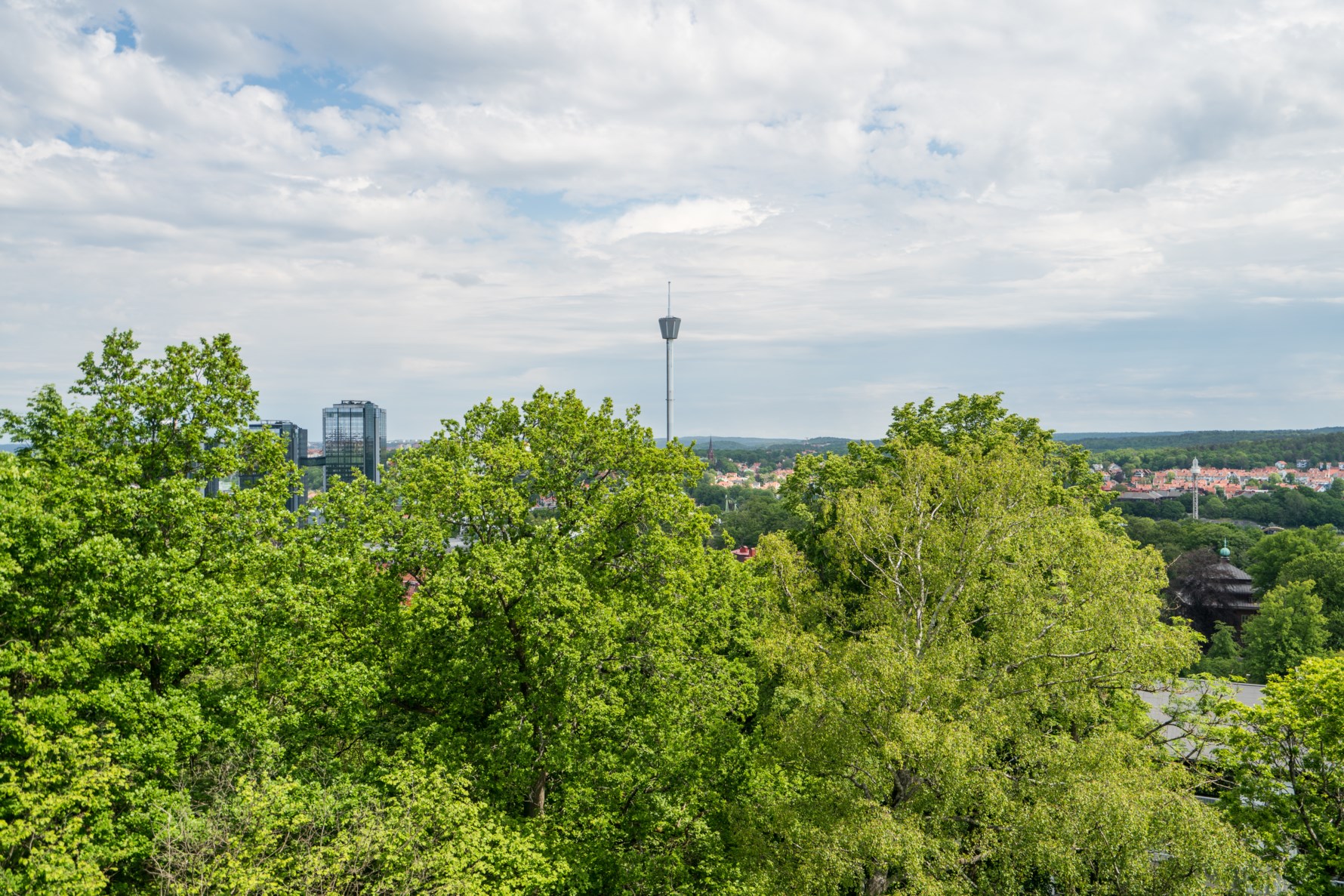 Bild 3 Olof rudbecksgatan 15