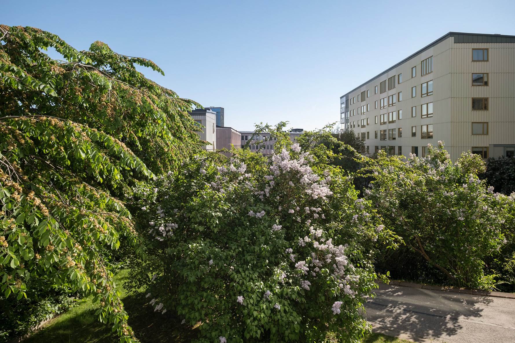 Bild 3 Skepparegången 26