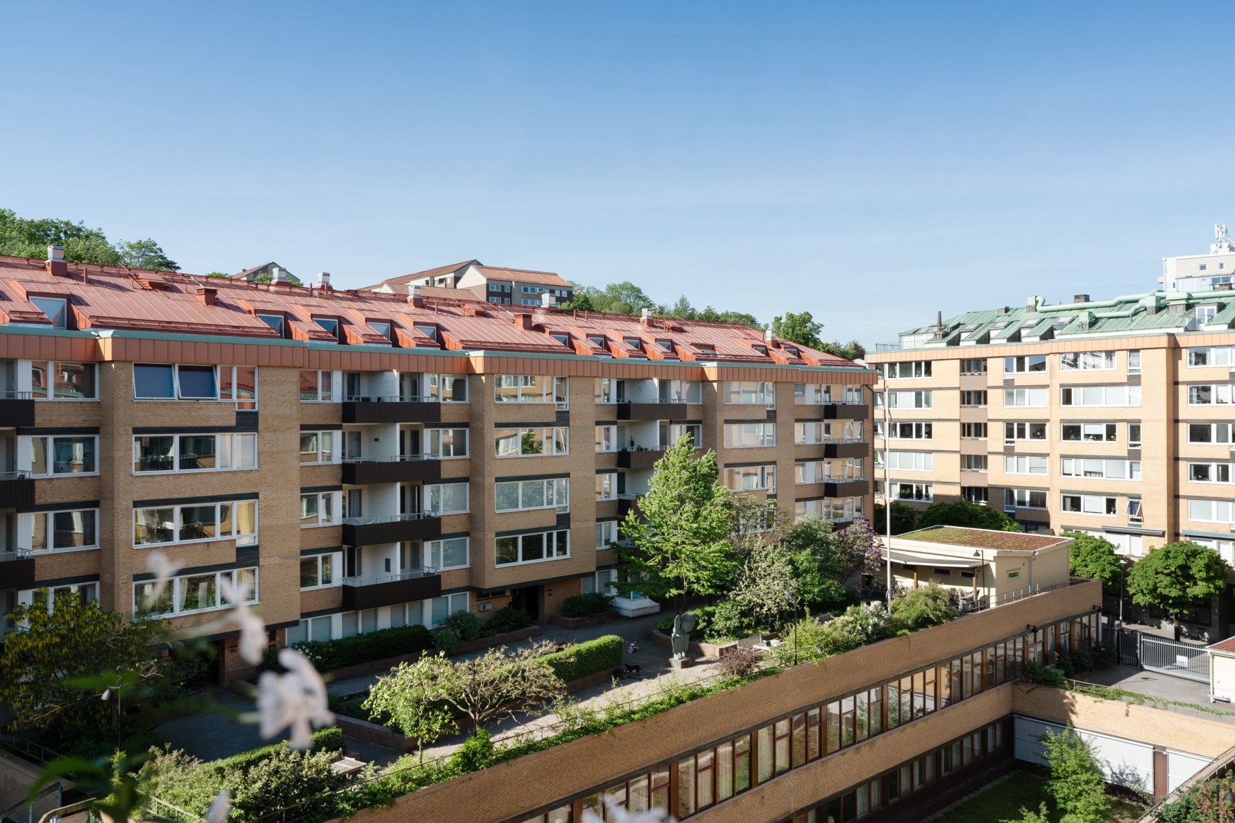 Bild 5 Viktoriagatan 36