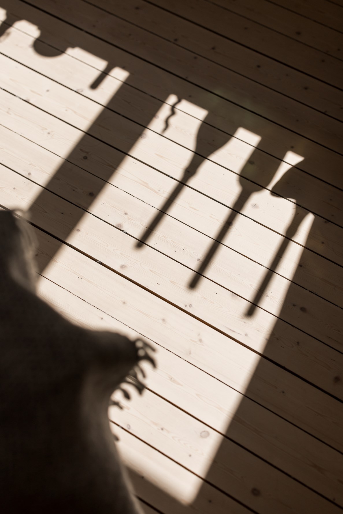 Bild 6 Lilla Fridhemsgatan 6C