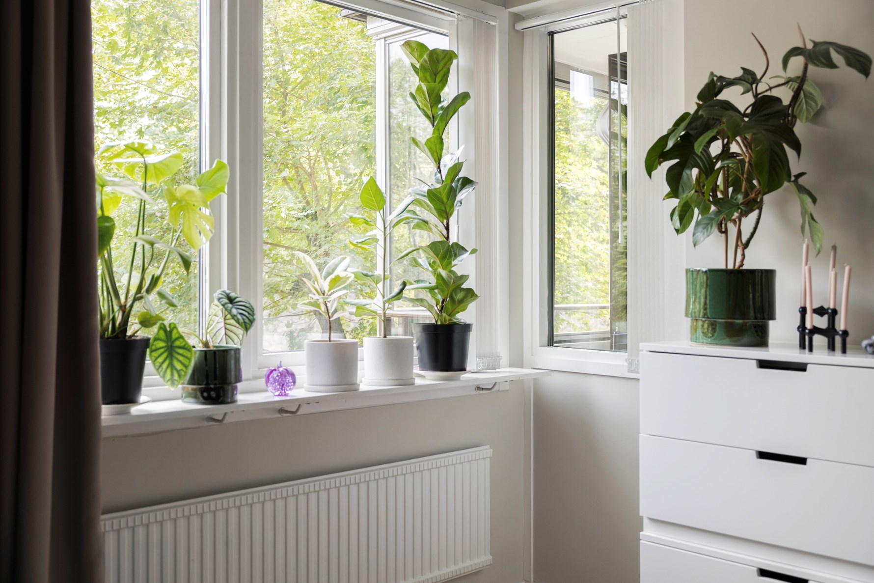 Bild 4 Blåsutgatan 1