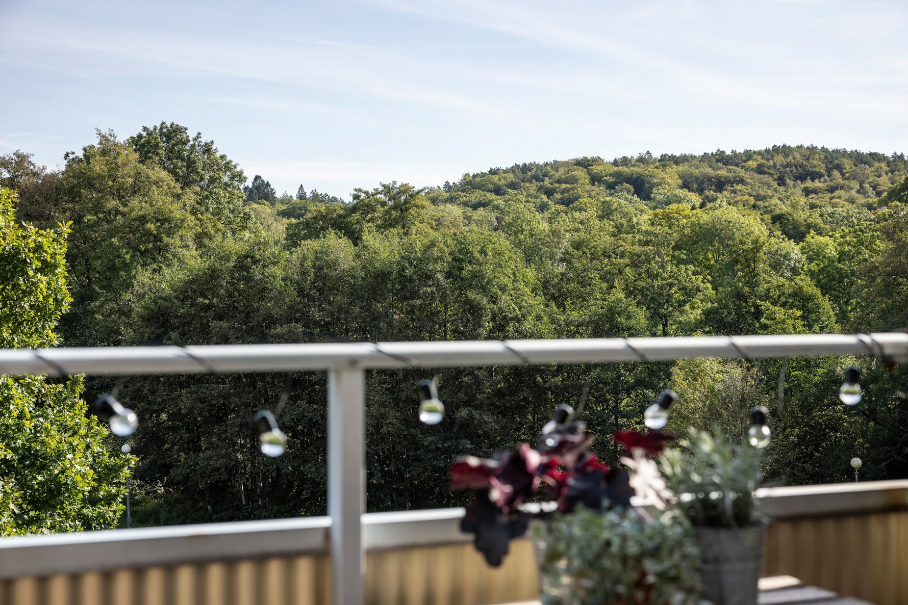 Bild 3 Carl Larssonsgatan 5B