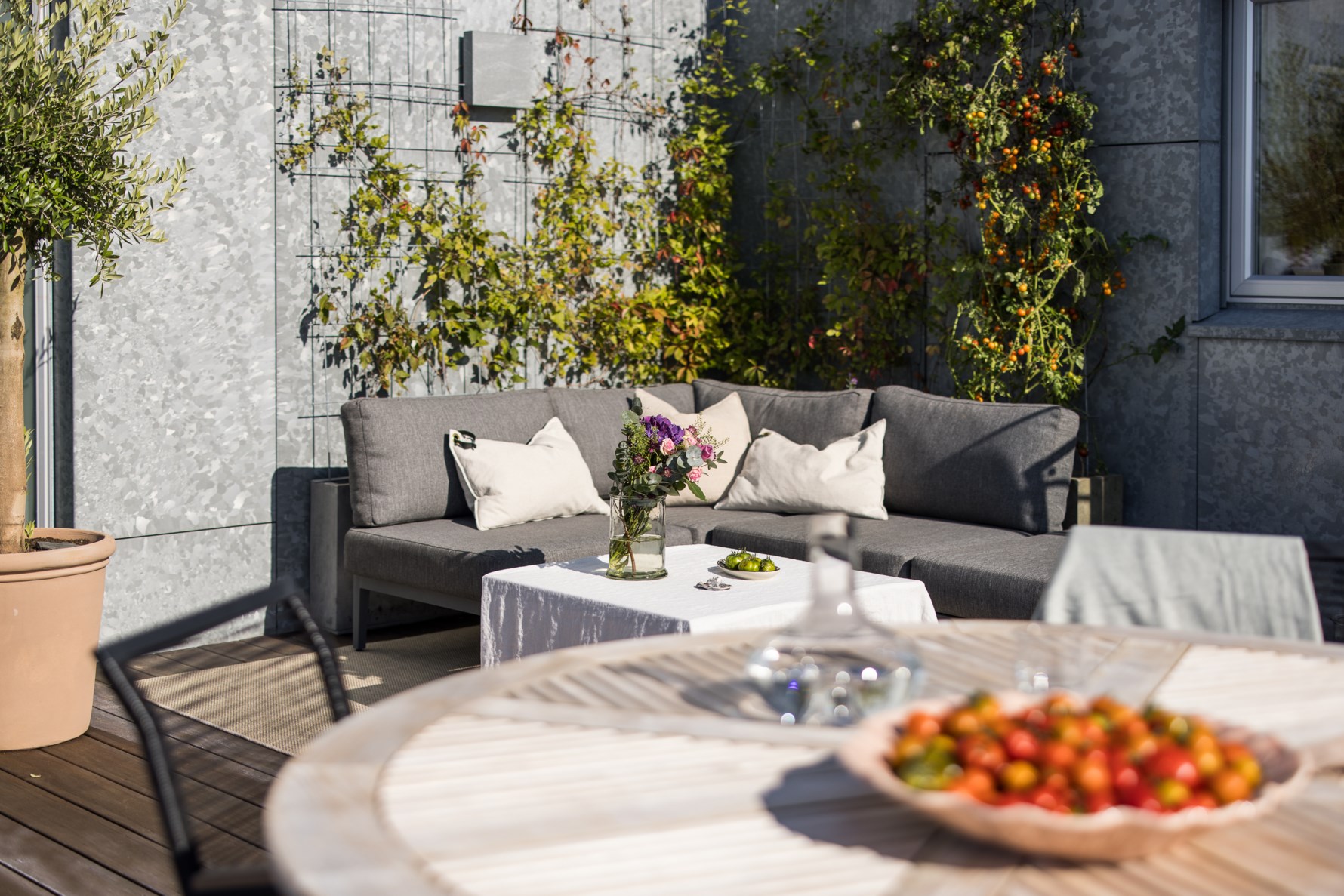 Bild 6 Uggleberget 24