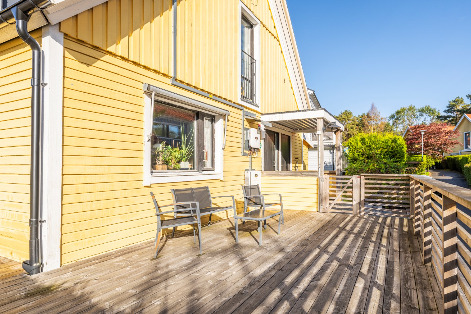 Bild 2 Fjällbruden 56