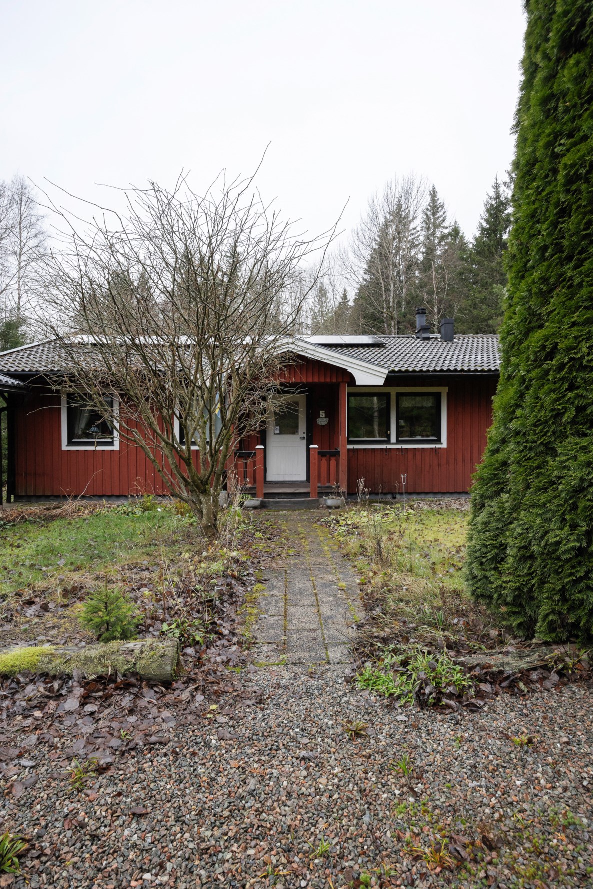 Bild 2 Starlanda Skogsbol 5