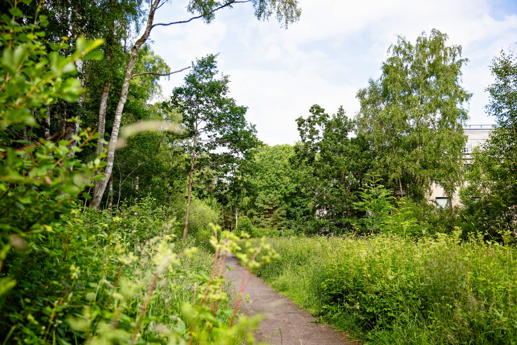 Bild 4 Sjöbackevägen 10