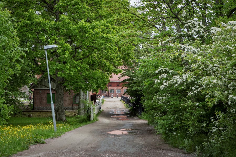 Bild 5 Sjöbackevägen 10