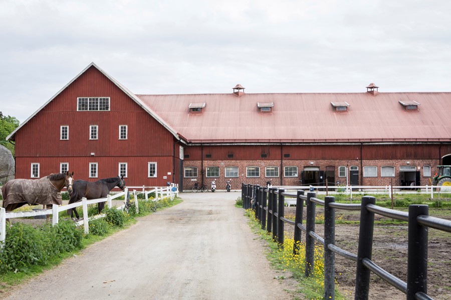 Bild 6 Sjöbackevägen 10