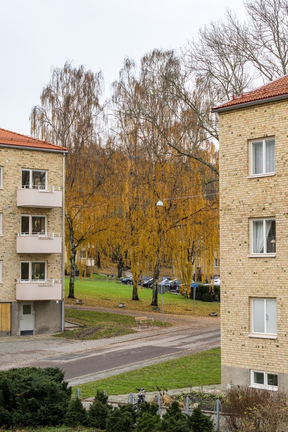 Bild 4 Iskällareliden 11A