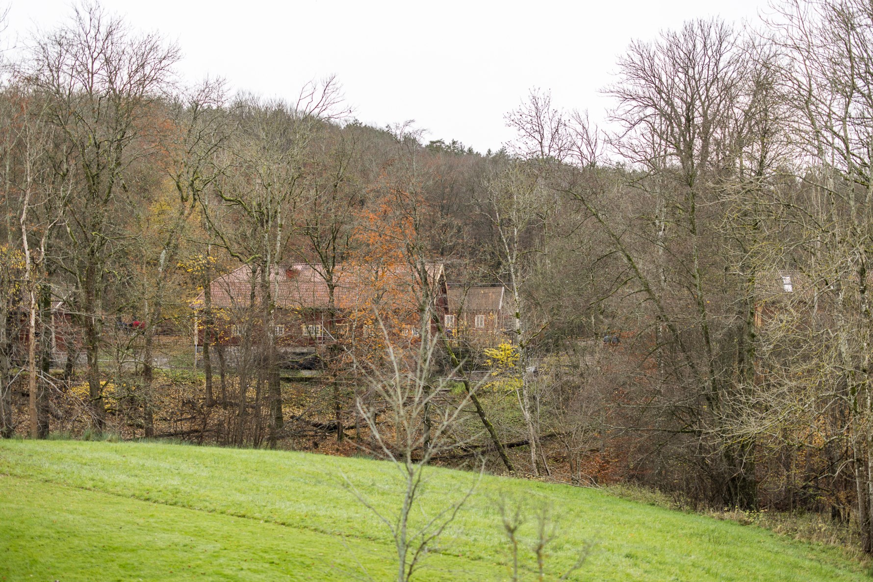 Bild 6 Iskällareliden 11A