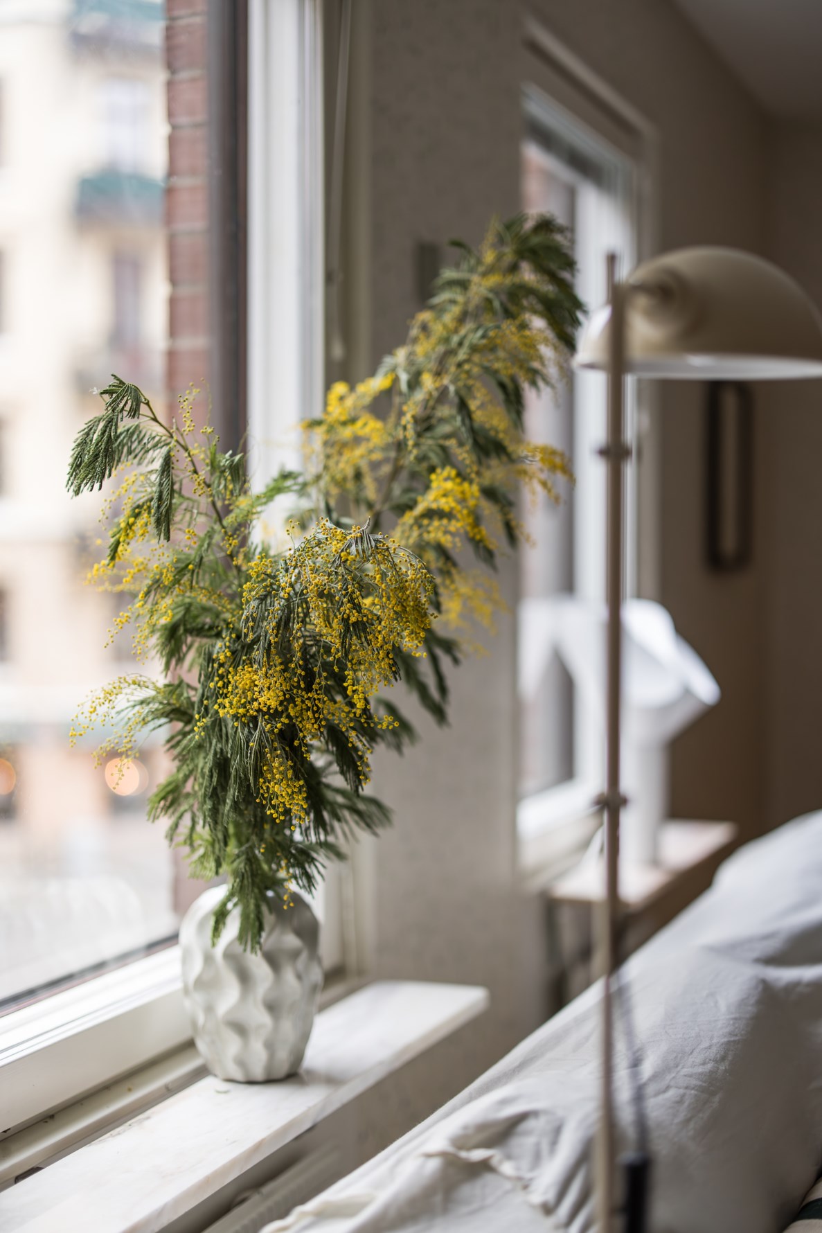 Bild 6 Nordenskiöldsgatan 2