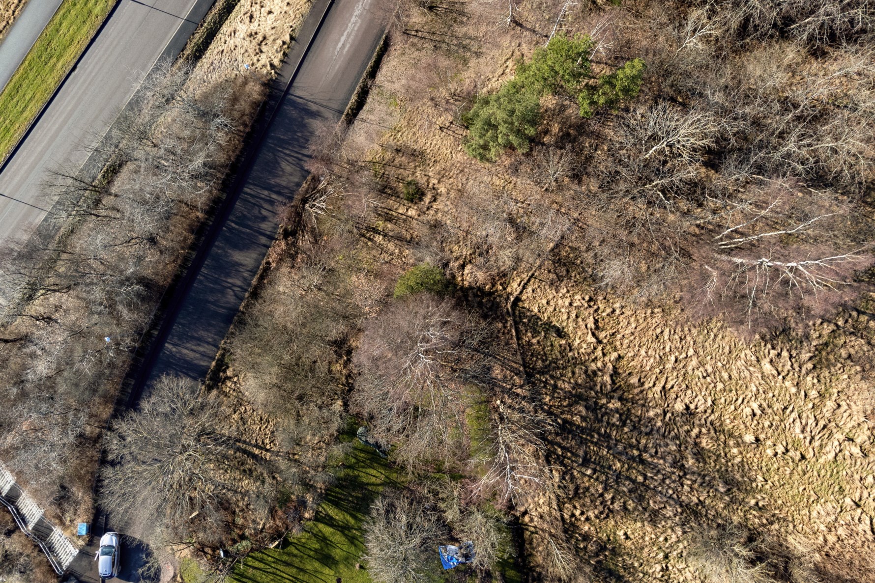 Bild 4 Snarberget 10