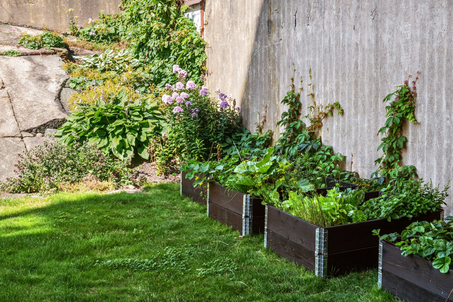Odlingslotter i föreningen