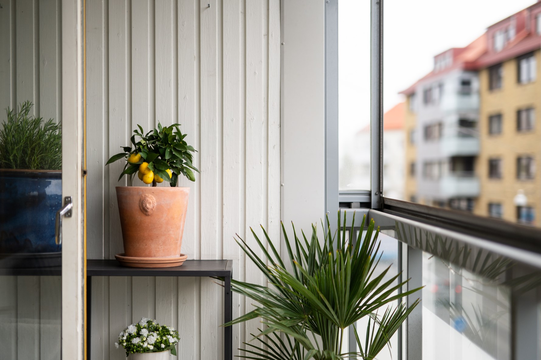 Bild 5 Vaktmästaregången 4