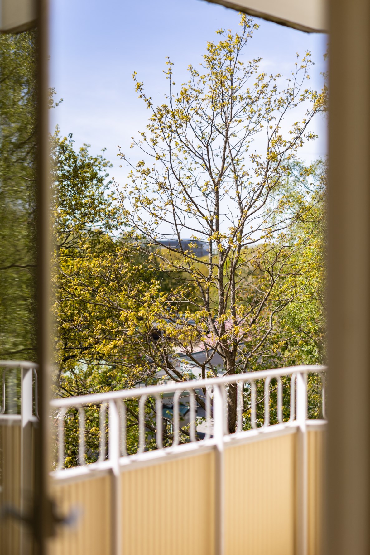 Bild 3 Doktor Bex gata 9C