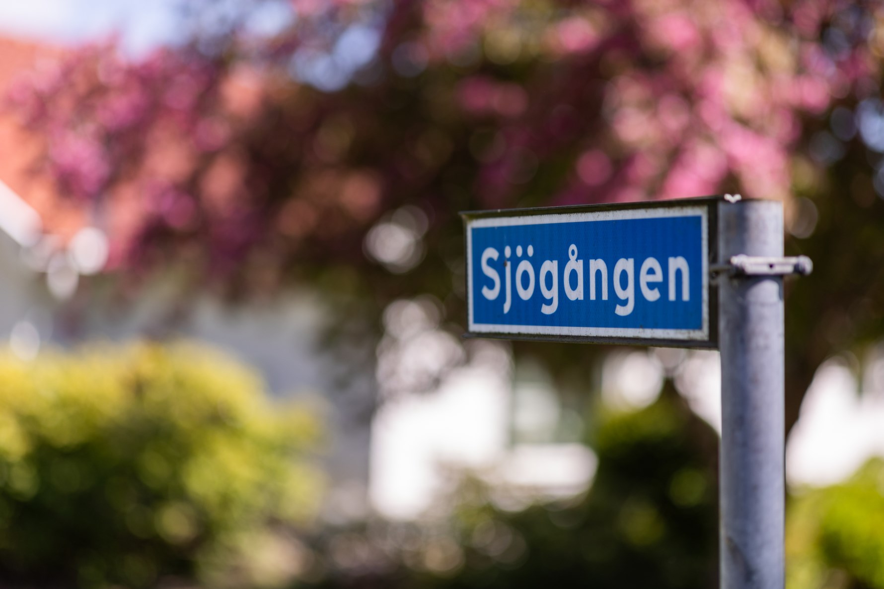 Bild 4 Sjögången 2