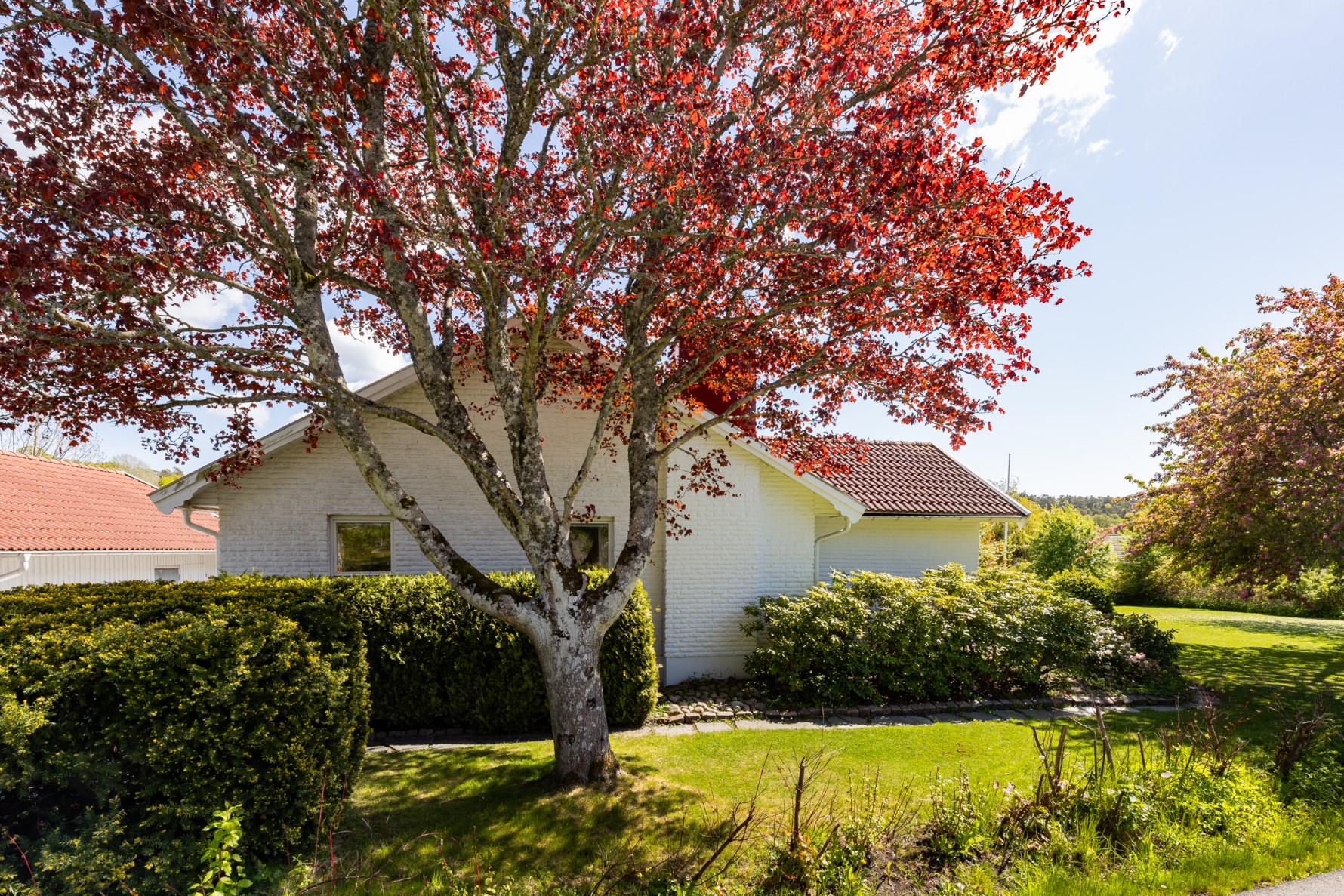 Bild 5 Sjögången 2