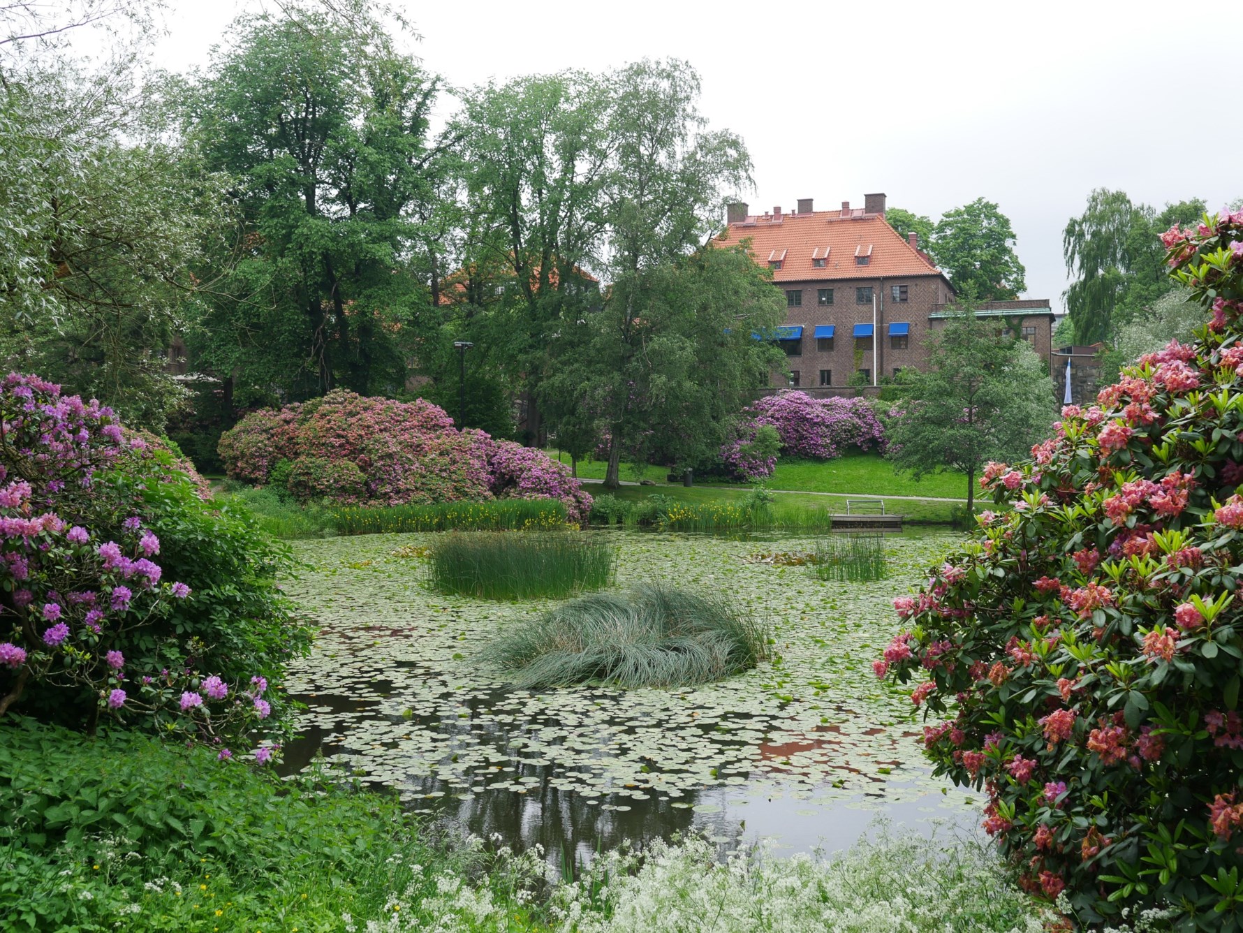 Bild 6 Arkivgatan 8