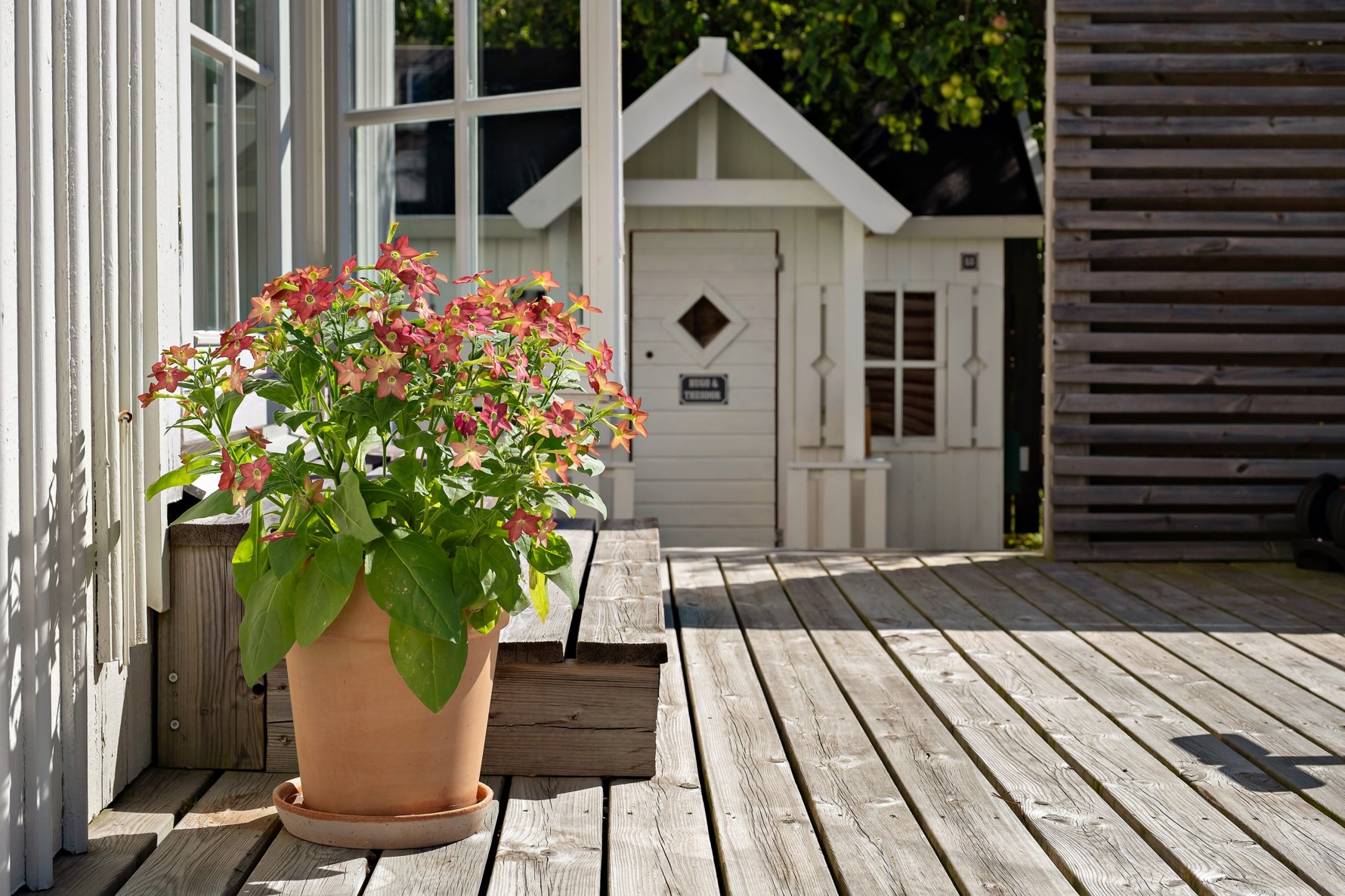 Bild 2 Styrsö Tångenväg 53