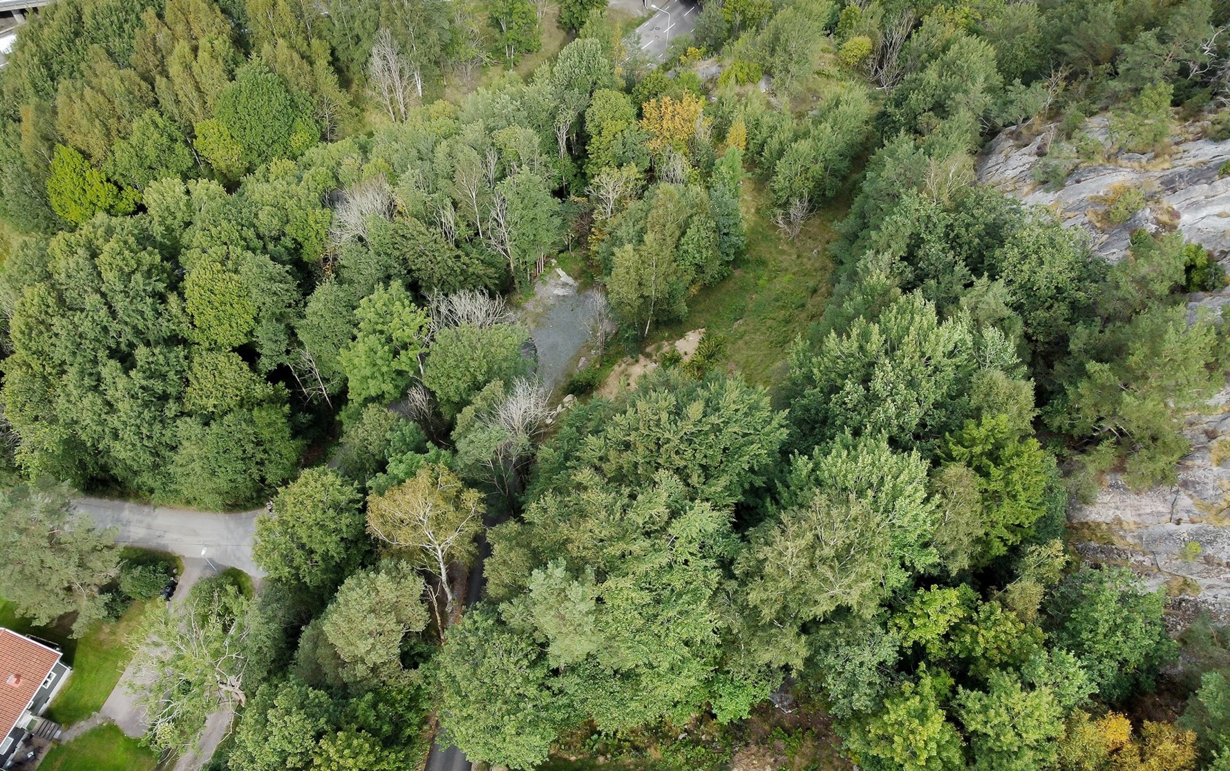 Bild 5 Lindåkrastigen 2