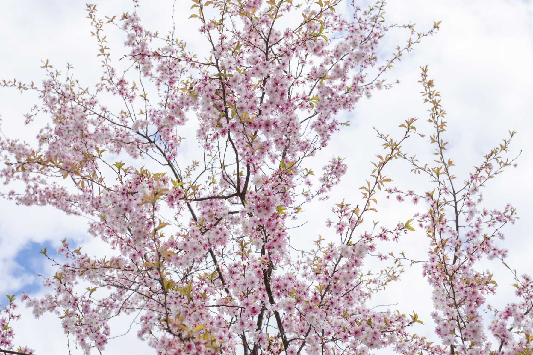 Bild 2 Brottkärrsvägen 7