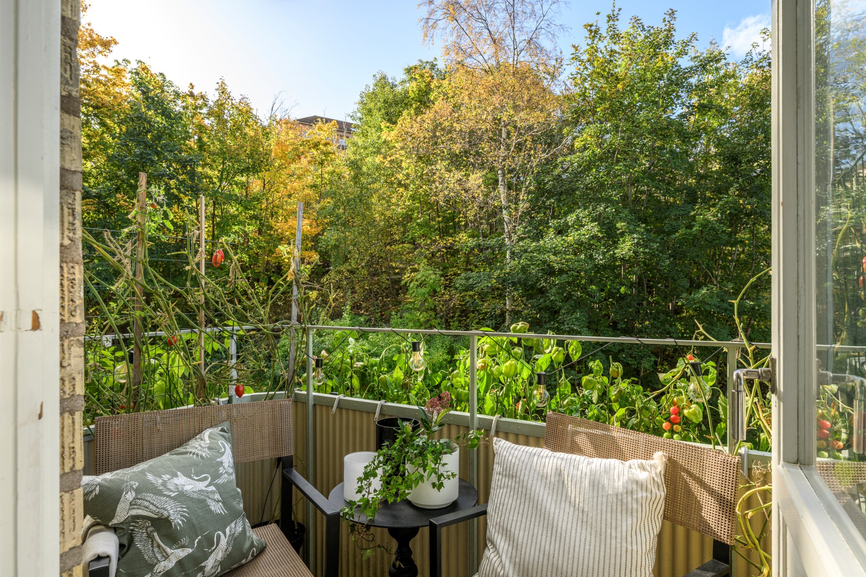 Bild 3 Toppsegelsgatan 9