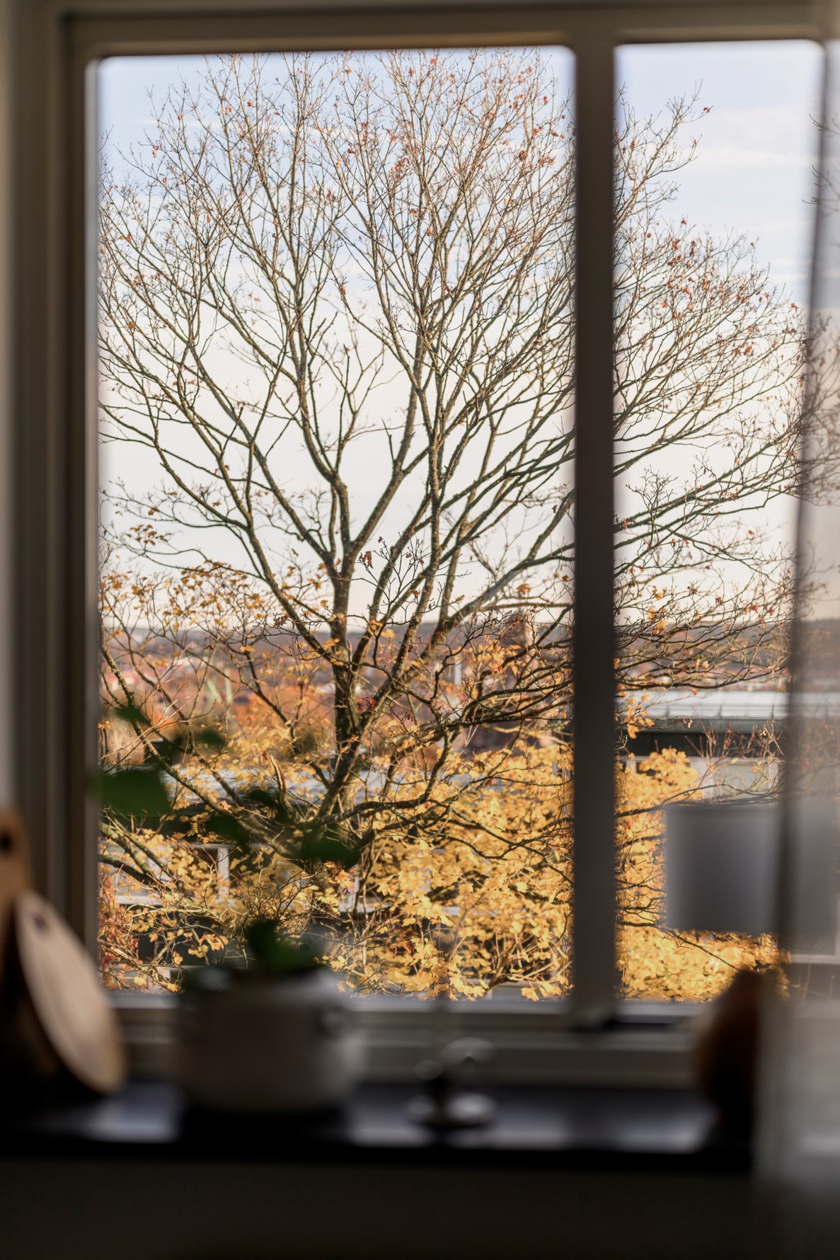 Bild 5 Olof Rudbecksgatan 15