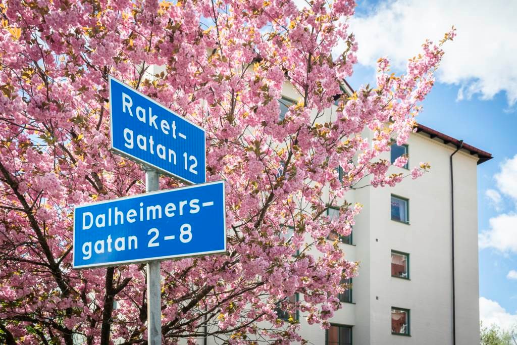 Bild 3 Dalheimersgatan 3B