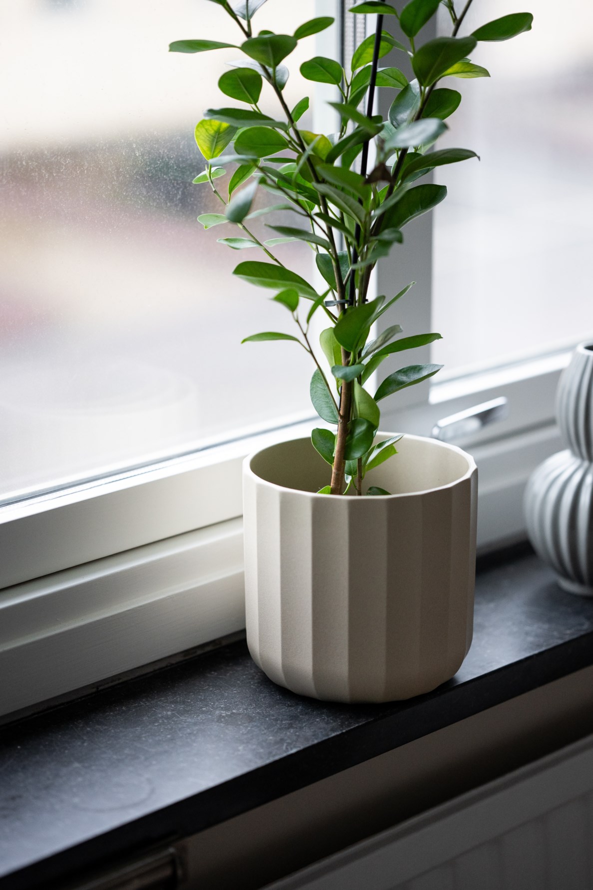 Bild 3 Eklandagatan 67A