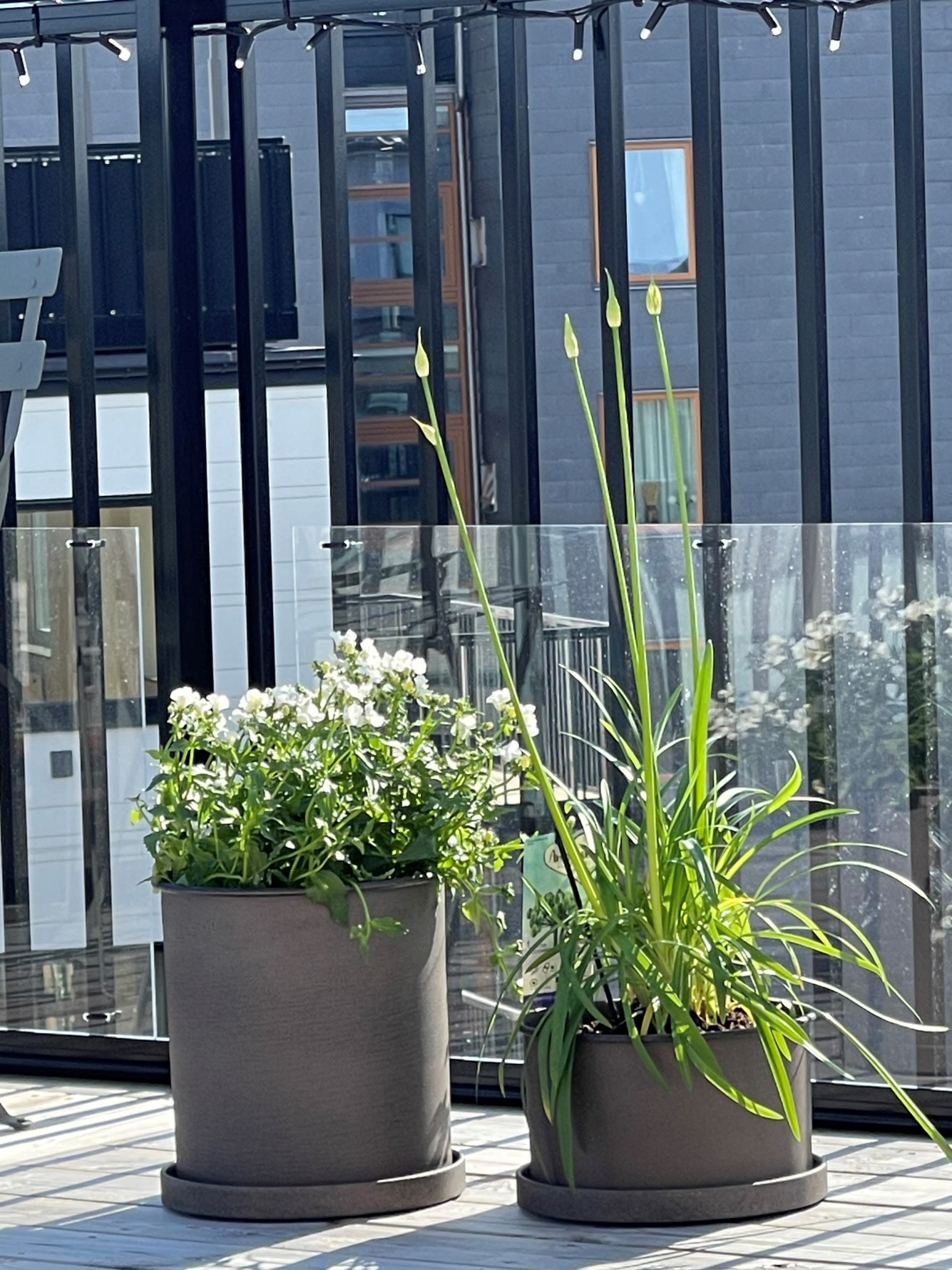 Bild 6 Hedtångsvägen 17