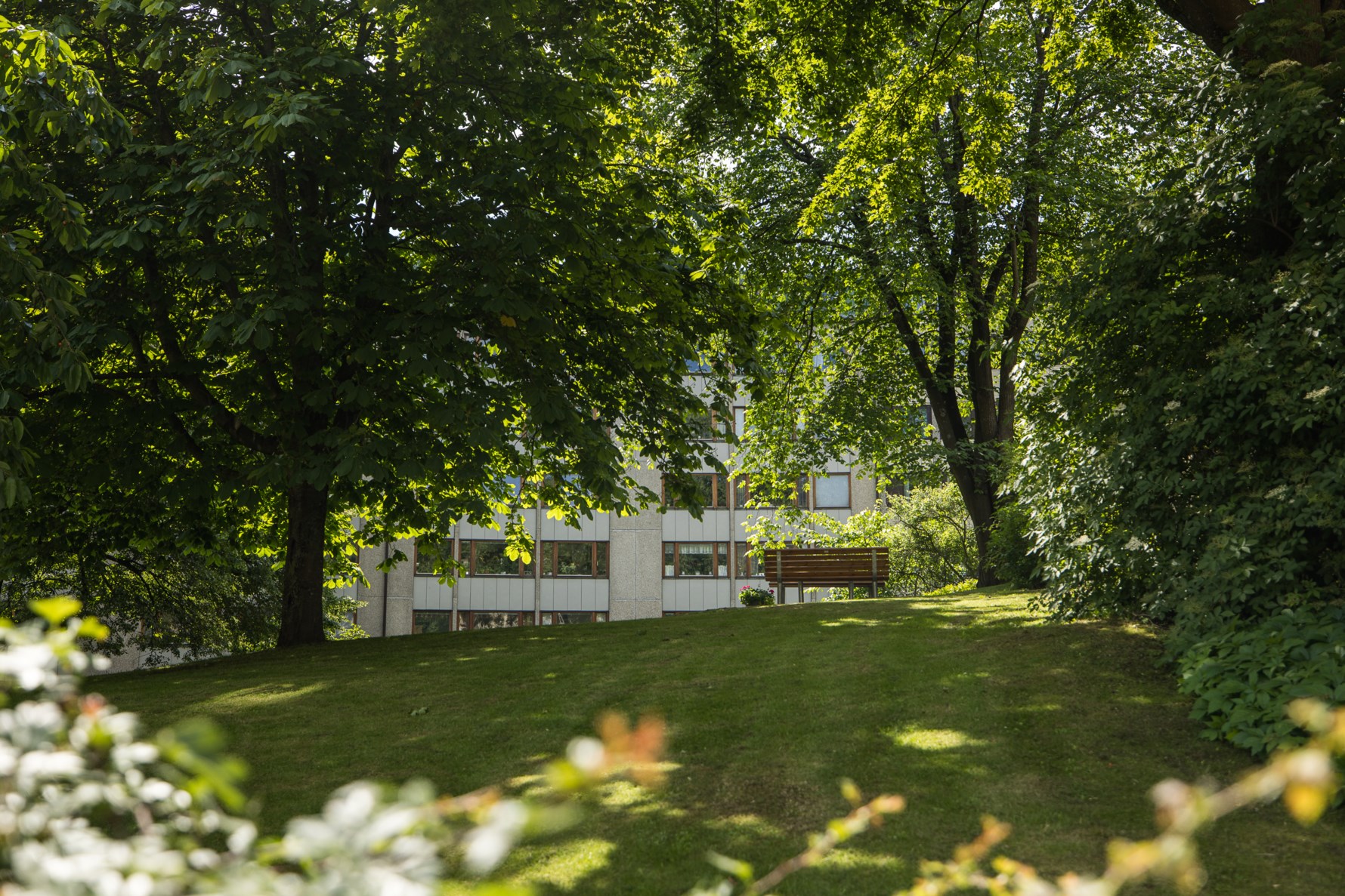 Bild 3 Norra Liden 15