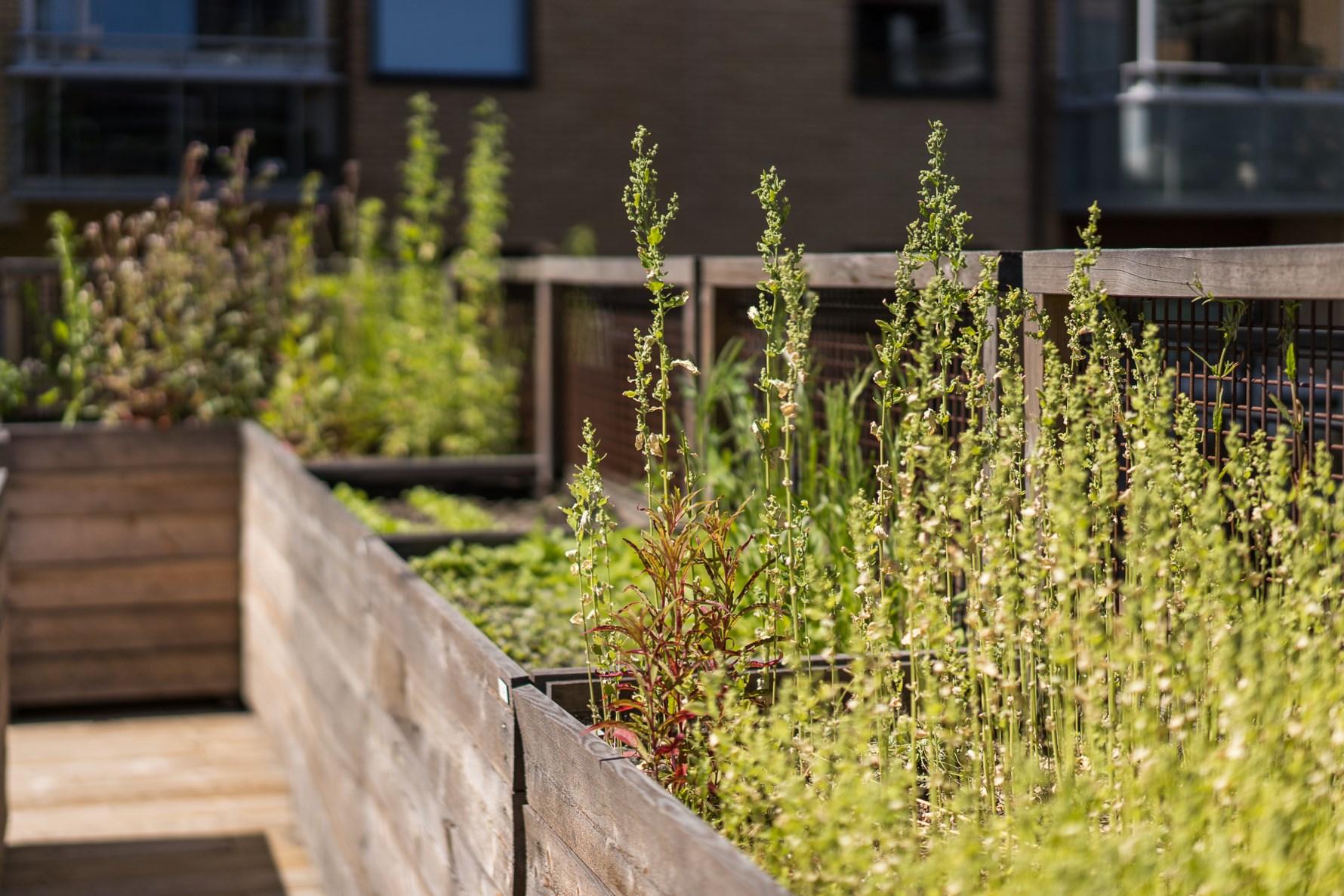 Bild 4 Andra Långgatan 26